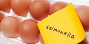 Salmonella Egg Outbreak 300x148